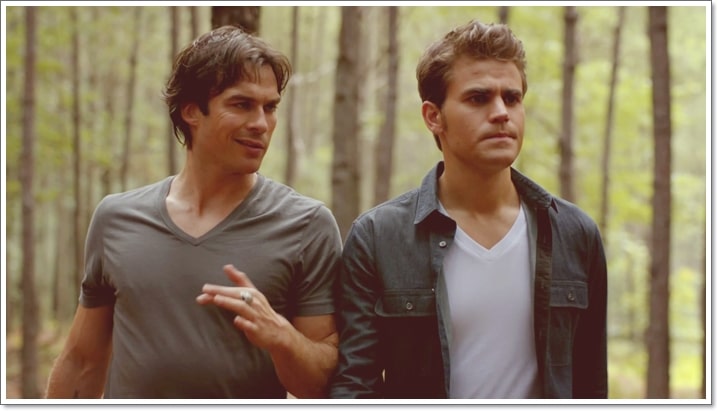 Is Your Partner More Like Damon Or Stefan?
