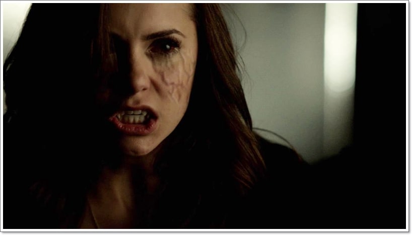 5 Interesting Things About TVD 'STELENA' That Fans Might Not Know