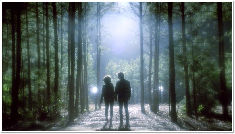 TVD Afterlife Quiz: Where Would You Belong - Hell, Other Side, or Ancestral Plane?