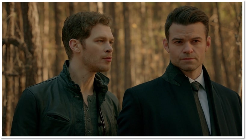 6 Things About Klaus-Elijah Mikaelson That You Might Not Know