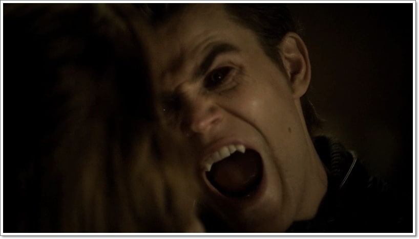 5 Things That Only True Vampire Diaries Fans Can Understand