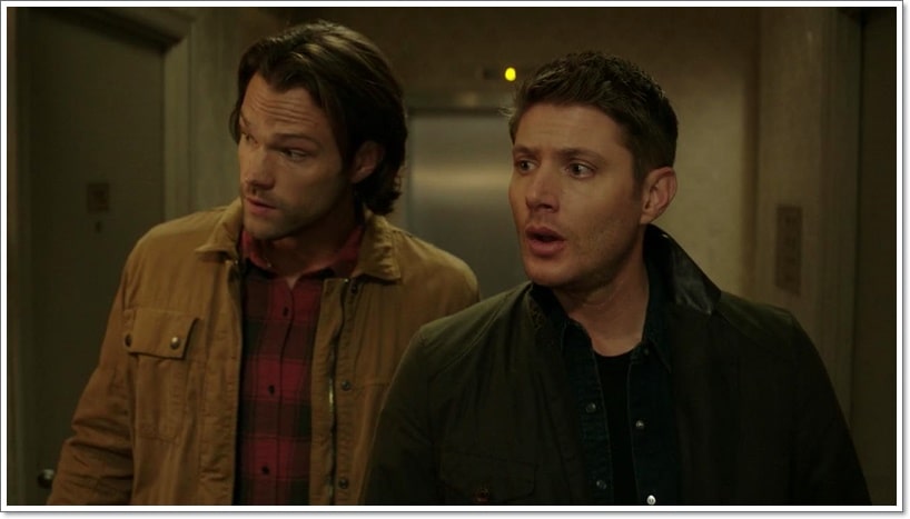 Alternate Careers Of Supernatural Cast If They Hadn't Chosen Acting
